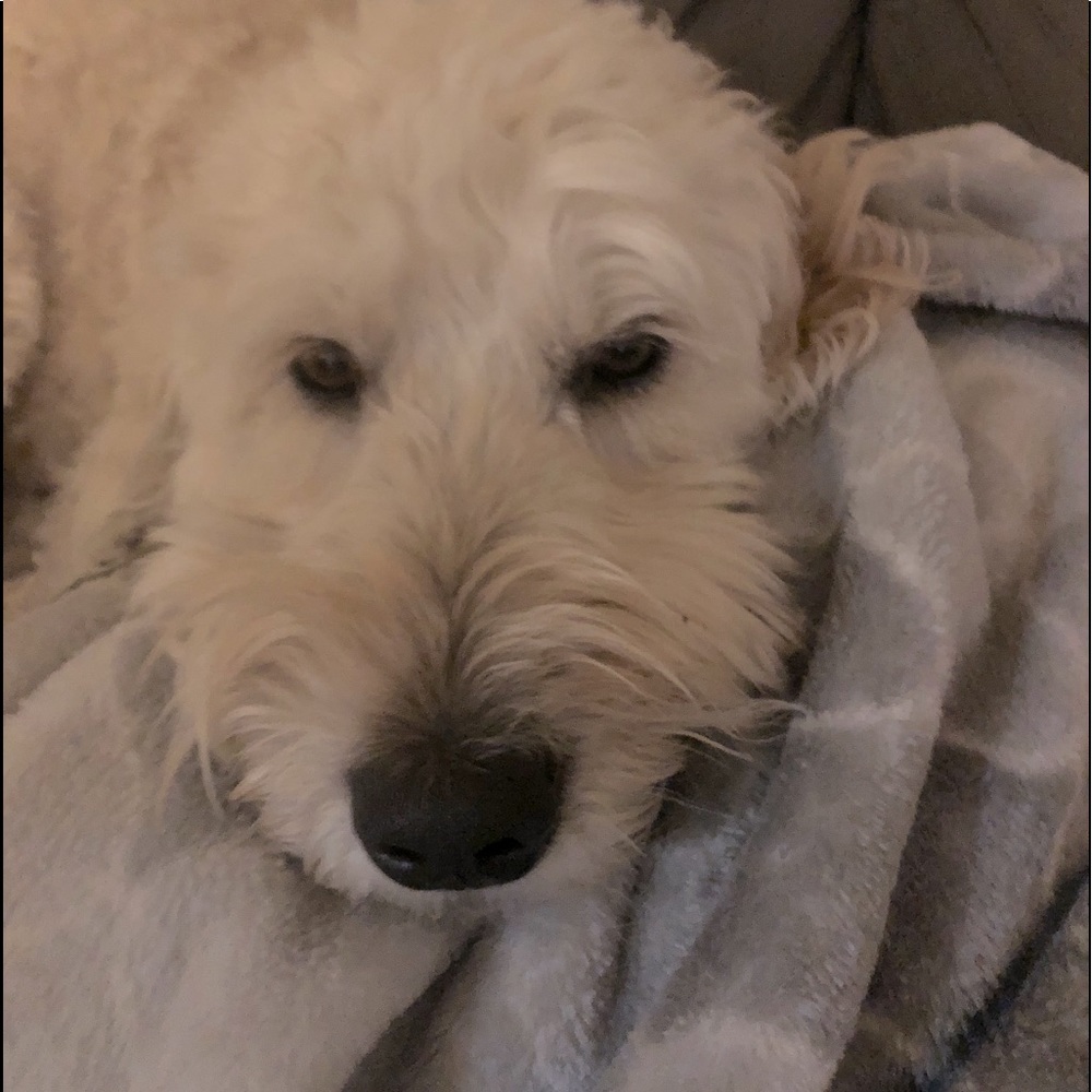 We like offers.. feel free to make some! ❤️